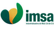 Logo IV