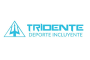 Logo V